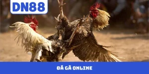 Đá Gà Online