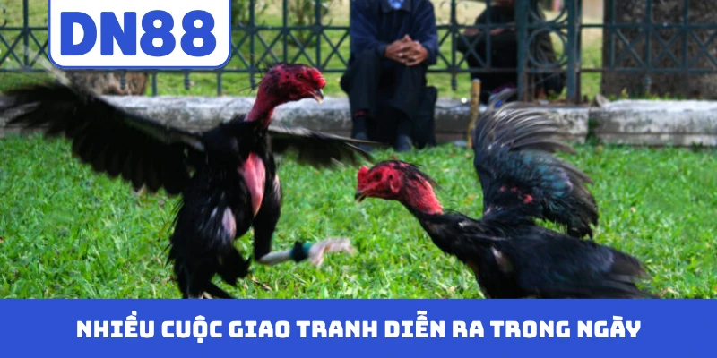 Nhiều cuộc giao tranh diễn ra trong ngày